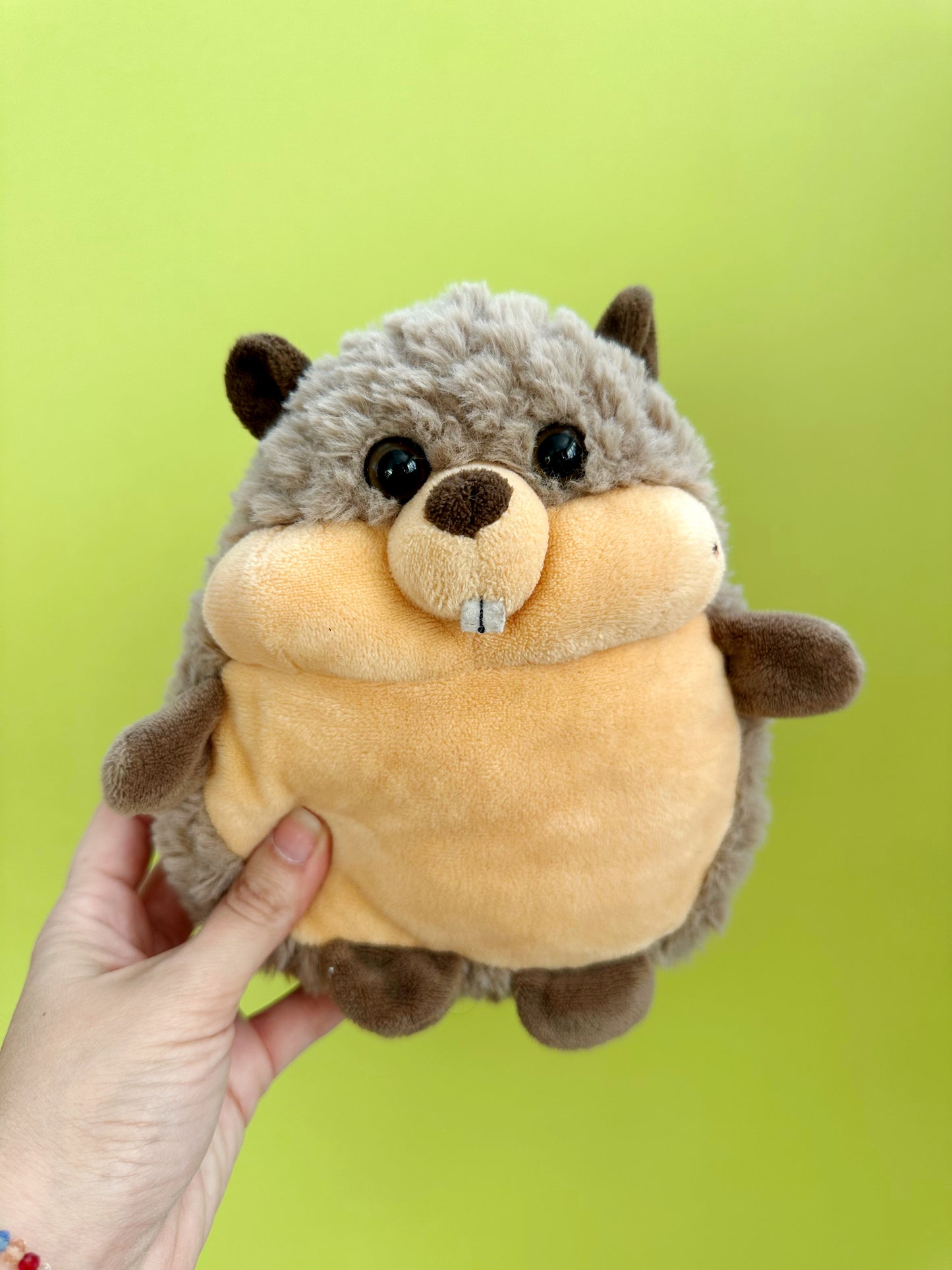 Cheddar Fudgepaws - Beaver