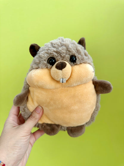 Cheddar Fudgepaws - Beaver